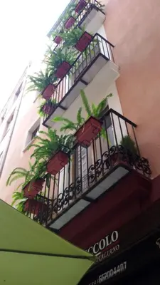 a building with balconies and potted plants on it at Atico En El Centro in Valencia