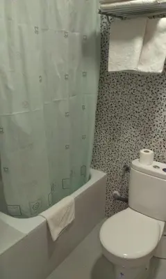 a bathroom with a toilet and a shower curtain at Hostal Bisbal ONLY ADULTS NO AC in Valencia