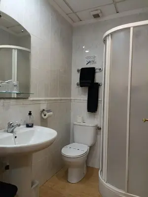 a bathroom with a toilet and a sink and a shower at Hotel Beatriz in Burriana