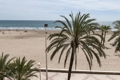 a palm tree on a beach with the ocean at Apolo, 3º-16 in Cullera