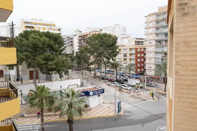 a view of a street with palm trees and buildings at Estirpe, 4º-8 in Cullera