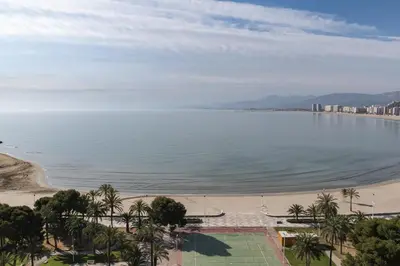 a view of a beach with palm trees and buildings at Florazar 2, Iv-14-C in Cullera