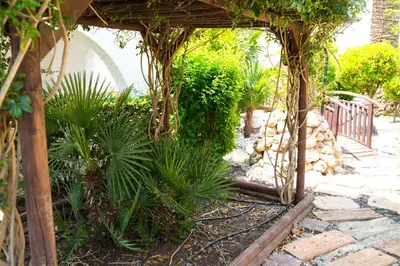a garden with a wooden arch with plants in it at Hotel La Carreta in Chiva