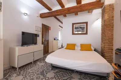 a bedroom with a bed and a flat screen tv at FLORIT FLATS - Charming Ruzafa Apartment & Terrace in Valencia