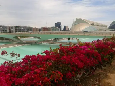 a bridge over a body of water with flowers at Dúplex, piscina y playa in Puebla de Farnals