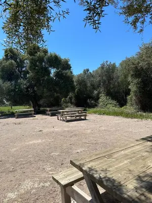 a group of picnic tables in a park at Dúplex, piscina y playa in Puebla de Farnals