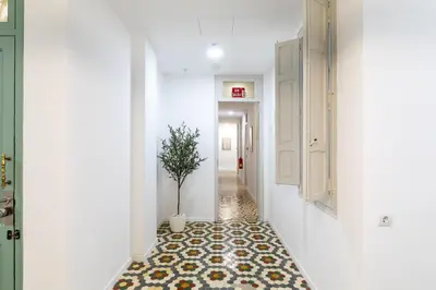 a hallway with a potted plant on the floor at Pensión Alicante by Moontels in Valencia