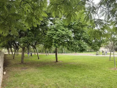 a park with trees and people walking in the grass at Plaza Sainetero in Valencia
