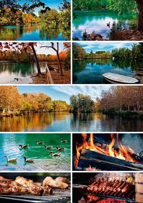 a collage of photos of different types of food and fire at Casa del Agua in Anna