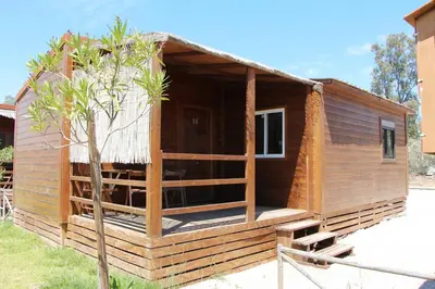 a wooden house with a tree in front of it at Bungalows Park Albufera in El Saler