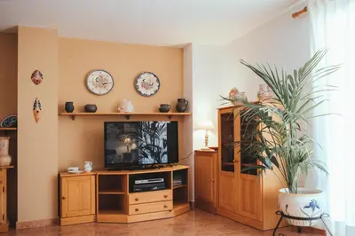 a living room with a television and a plant at Avinguda Mare Nostrum, 101 in Moncófar