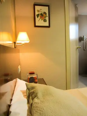 a bedroom with a bed and a lamp on a wall at Hotel Avenida in Requena