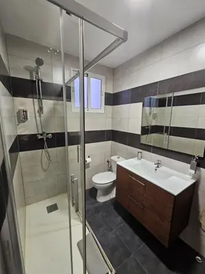 a bathroom with a shower and a toilet and a sink at Apartamentos Turia in Valencia