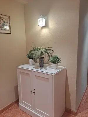 a cabinet with potted plants on top of it at Mari Carmen, 2º-8 in Cullera