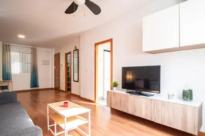 a living room with a couch and a tv at Flats Burjasot in Valencia