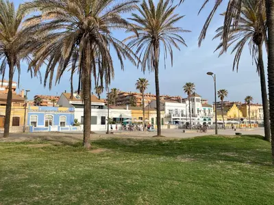 a group of palm trees in a park at Avenida Mare Nostrum 7 Patacona Beach Breakfast items in the home in Valencia