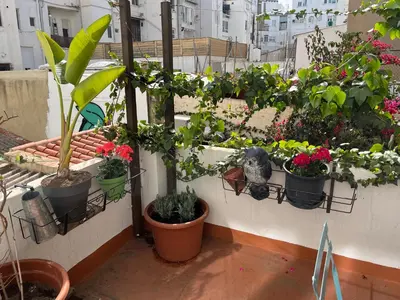 a bunch of plants in pots on a balcony at Apartamento Ruzafa Centro II in Valencia