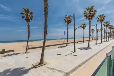 a row of palm trees on a sidewalk next to the beach at Luxury Beach Front Apartment with Pool in Valencia