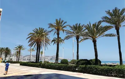 a person walking down a sidewalk near palm trees at 1 Bedroom Nice Apartment In Cullera in Cullera