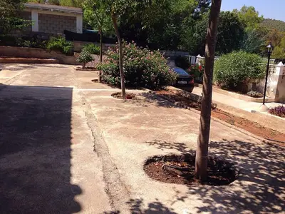 a tree on a sidewalk next to a street at Chalet en el Monte con Piscina in Sagunto