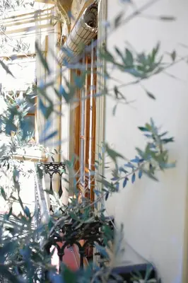 a reflection of a clock on a wall with a plant at L'Arbre in Valencia