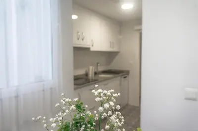 a kitchen with white cabinets and white flowers at TTdSSa VLC Plaza Cisneros in Valencia