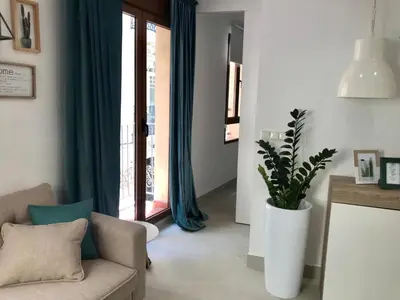 a living room with a couch and a plant at Apartamento Joseph , luminoso, bonito y muy céntrico in Valencia