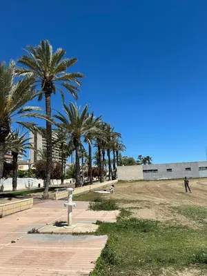 a park with palm trees and a man walking on a sidewalk at Apartamento Barbacoa, Piscina y playa in Puebla de Farnals