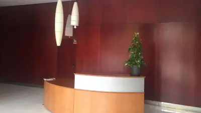 a lobby with a counter with a potted plant on it at Apto en Ciudad de las Ciencias y cerca playa in Valencia