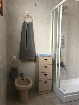 a bathroom with a toilet and a shower and a sink at Bonito piso en el centro de Benaguacil in Benaguacil