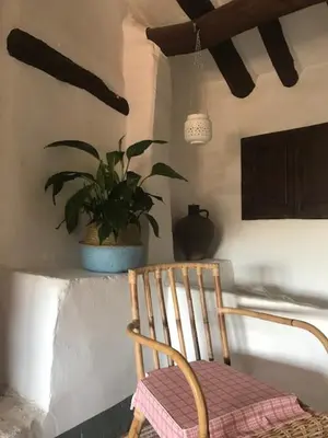 a chair and a potted plant in a room at Casa Rural La Antigua in Chelva