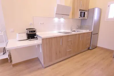 a kitchen with a sink and a refrigerator at Apartamentos Dormavalencia in Valencia