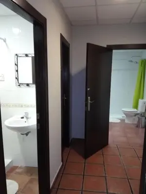 a bathroom with a shower and a toilet and a sink at Espai Loft Valencia in Valencia