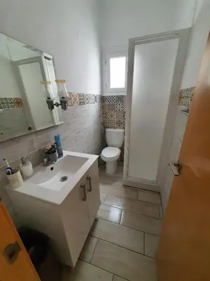 a bathroom with a white sink and a toilet at Apartment near the BIO PARC in Valencia