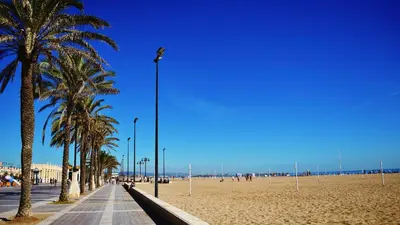 a beach with palm trees and a street light at Hotel Manises in Manises