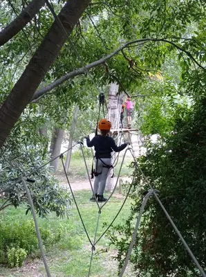 a person on a zip line in the trees at El Cerrao-PauNatura in Sot de Chera