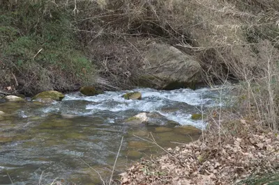 a stream of water with some rocks and trees at Apartamento Casa Rafa in Navajas
