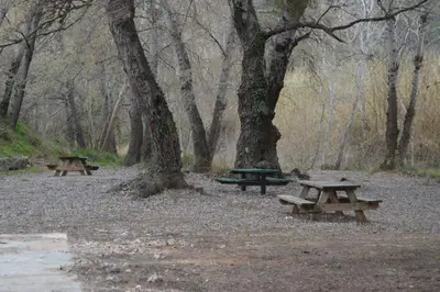 three picnic tables in a park with trees at Apartamento Casa Rafa in Navajas