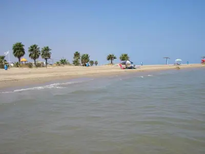 a view of a beach with palm trees and the water at El apartamento de Marina en Chilches playa in Xilxes
