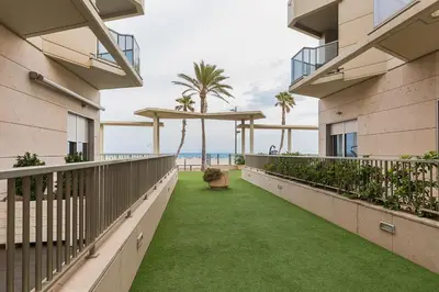 a balcony with green grass and palm trees at PATACONA BEACH VISTAS AL MAR in Valencia