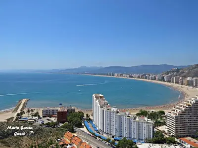 a view of a beach with buildings and the ocean at VIRGEN APARTAMENT HOTEL in Cullera