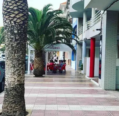 a palm tree on a sidewalk in front of a store at The Apartment Olivia in Moncófar