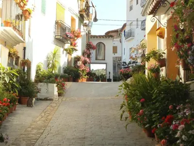 a street in a town with flowers and a cat at La Vía Verde in Jérica