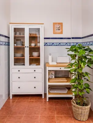 a kitchen with a white cabinet and a plant at Casa rural la ermita de Anna in Anna