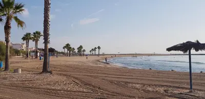 a sandy beach with palm trees and the ocean at Apartamento Playa Moncofar - Xilxes in Moncófar