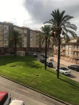 a group of palm trees in a parking lot at Habitación en Casa Qerétaro in Silla