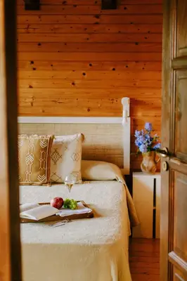 a bed with a tray of fruit and a glass of wine at Pago de Tharsys in Requena
