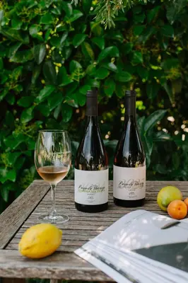 two bottles of wine and a glass on a table at Pago de Tharsys in Requena
