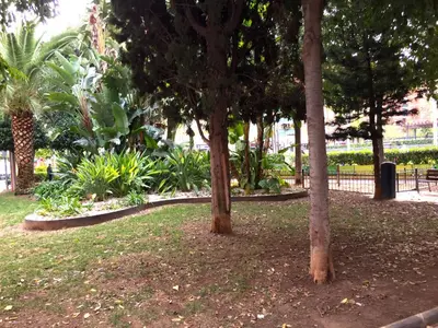 two trees in a park with plants and a fence at Cosy flat with excellent location in Valencia! in Valencia