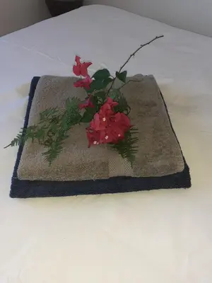 a vase of flowers sitting on top of a towel at Casa Loro Loco B&B in Pedralba